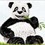 TinyPNG